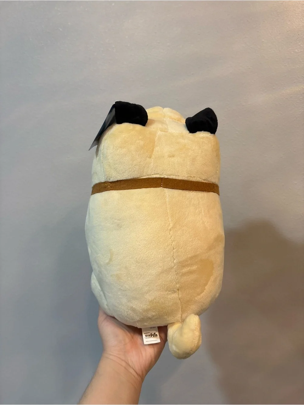 The secret life of pets Pug “Mel” from California Universal Studios